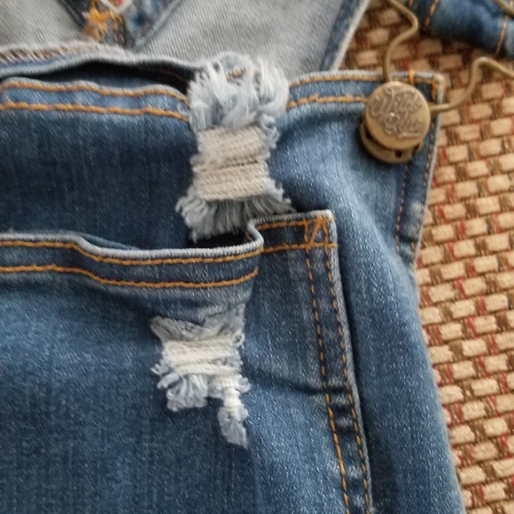 Wild Blue Overalls - Picture 8 of 8